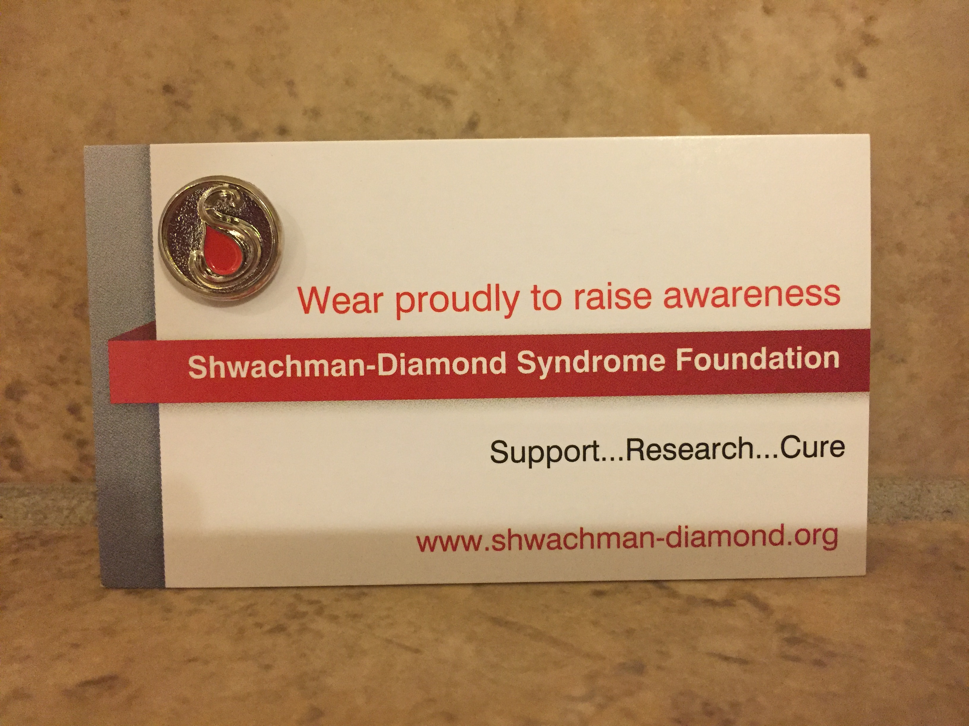 Lapel Pins